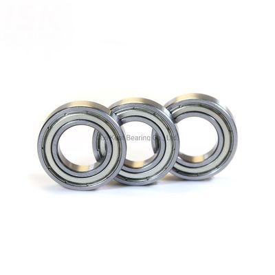 RS Low Noise Needle Roller Bearing for Motorcycle Spare Parts Made of Bearing Steel