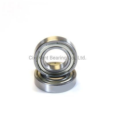 Radial Bearing Dgbb 69 Series 6900 6901 6902 6903 6904 6905 RZ Ball Bearings for Machinery