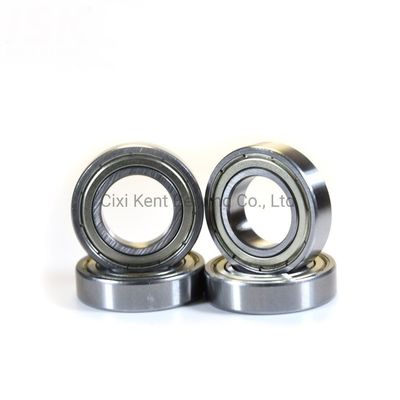 Radial Bearing Dgbb 69 Series 6900 6901 6902 6903 6904 6905 RZ Ball Bearings for Machinery