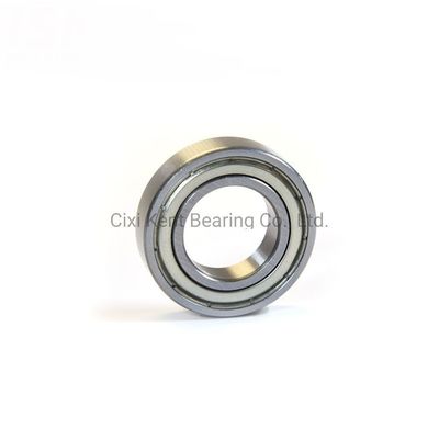 Radial Bearing Dgbb 69 Series 6900 6901 6902 6903 6904 6905 RZ Ball Bearings for Machinery