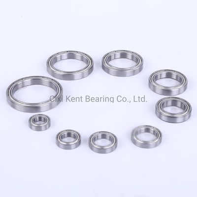 Radial Bearing Dgbb 69 Series 6900 6901 6902 6903 6904 6905 RZ Ball Bearings for Machinery